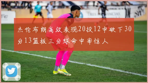 杰伦布朗高效表现20投12中砍下30分13篮板三分球命中率惊人