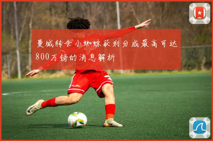 曼城转会小蜘蛛获利分成最高可达800万镑的消息解析
