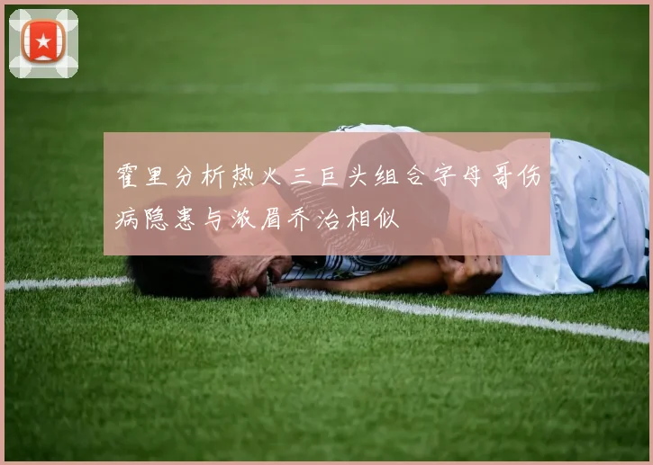 霍里分析热火三巨头组合字母哥伤病隐患与浓眉乔治相似